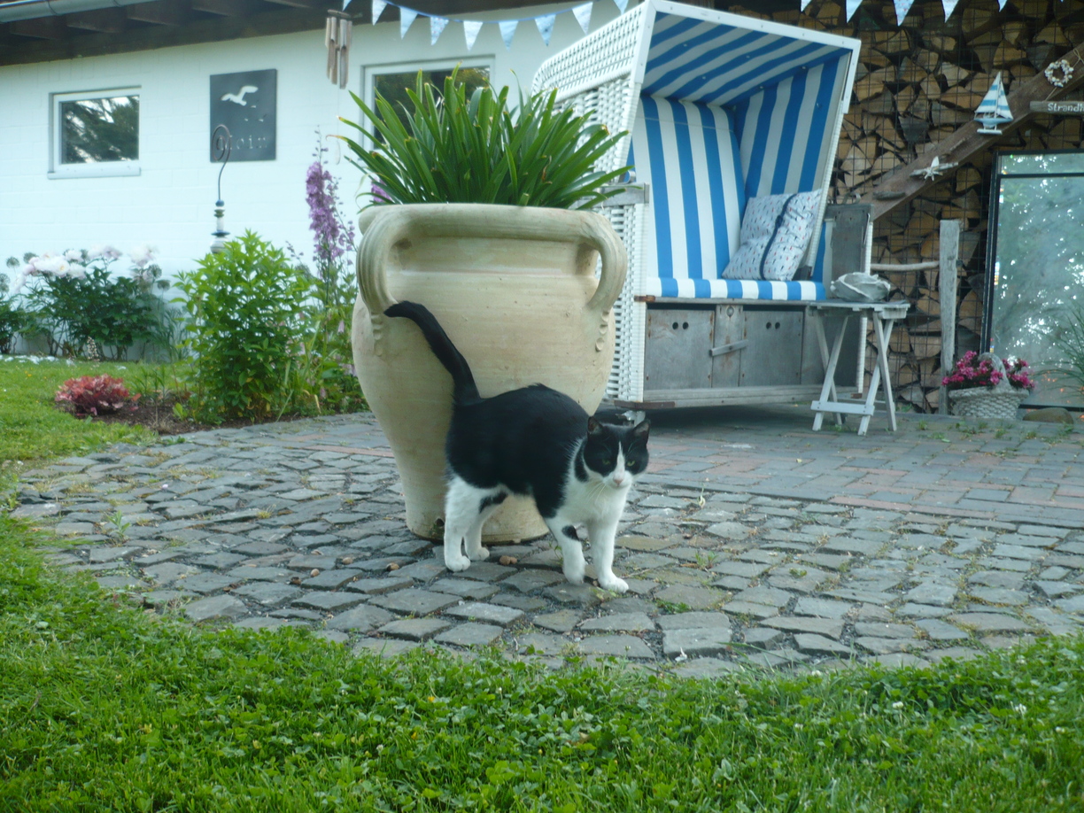 Strandkorb im Garten