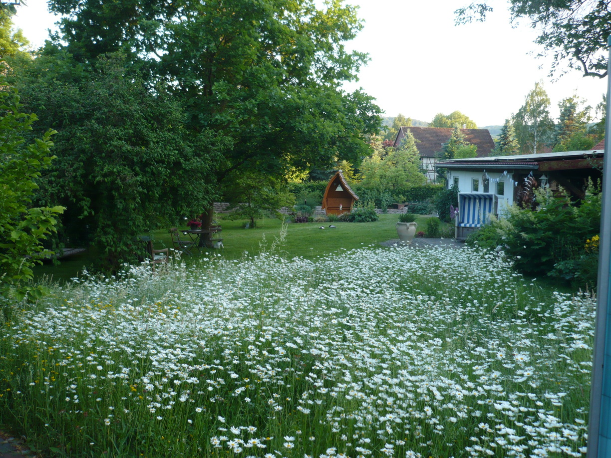 Gartenwiese
